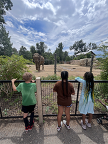 zoo DRM