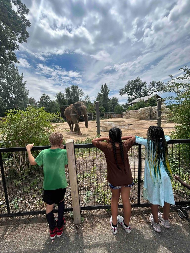 zoo DRM